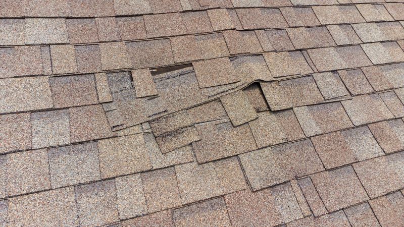 Damaged Shingle Removal